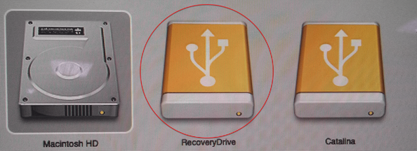 Stellar-Recovery-Drive