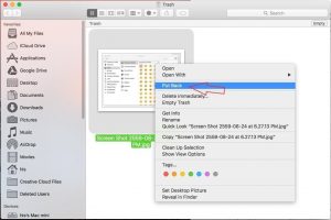 how to force empty trash on mac external drives how to force empty trash on mac external drives