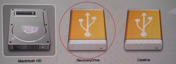 Select Recovery Drive