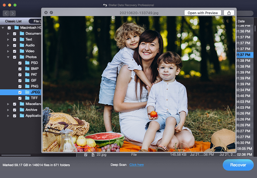 stellar-data-recovery-professional-for-mac-preview